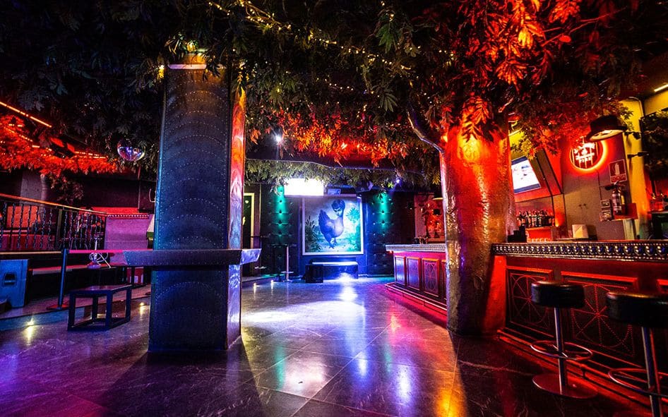 Havana Cánovas: tardeo de hits y noches +21 en la plaza Cánovas