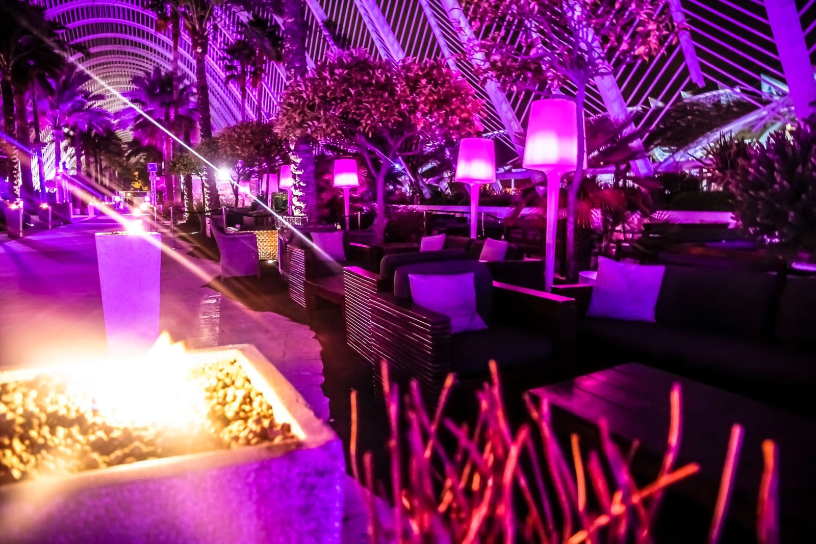 L'Umbracle Terraza — foto 2