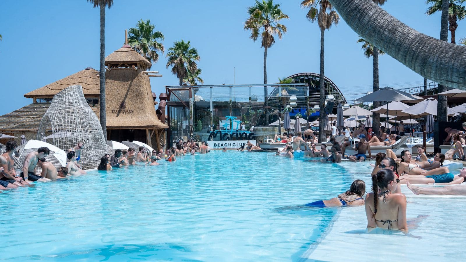 Cómo es Marina Beach Club Valencia: piscina, club, Playa Palapa y normas de entrada